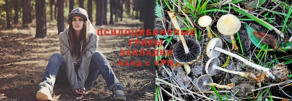 jwh Алексеевка