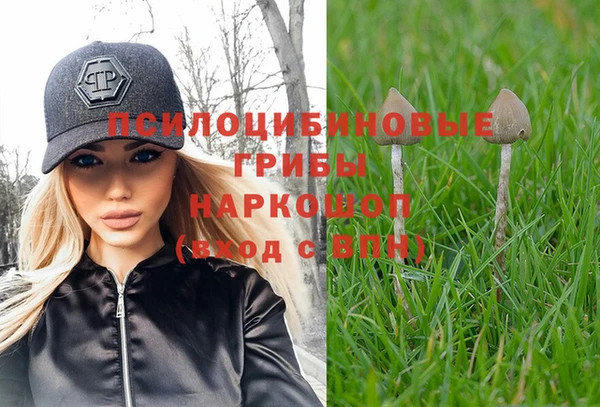 марки lsd Алзамай