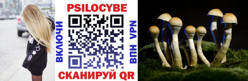 купить   Чаплыгин  Галлюциногенные грибы Psilocybine cubensis 